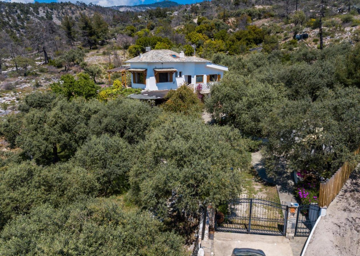 Villa Miriana Aliki Αλυκή Εξωτερικό φωτογραφία